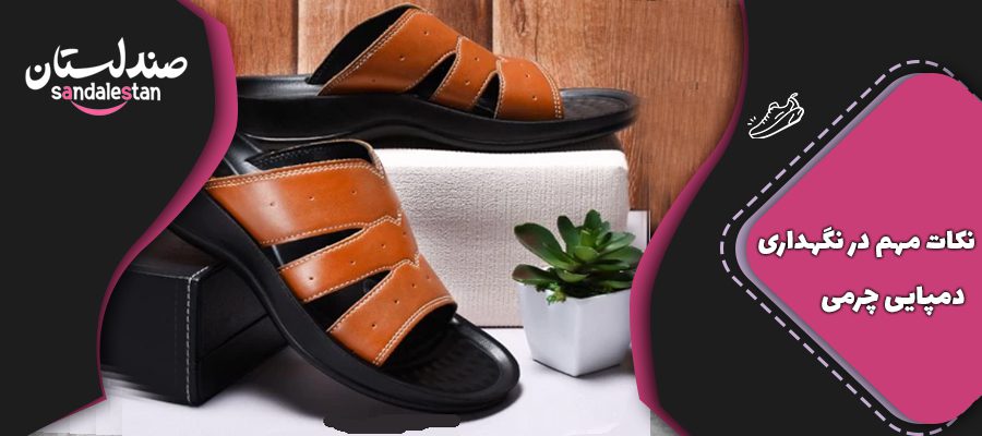 نکات مهم در نگهداری دمپایی چرمی